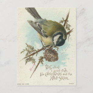 vogel- en pijnbijkantoor briefkaart