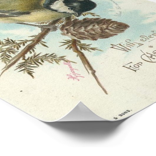  vogel en Pinecone, Kerstmis Poster (Hoek)
