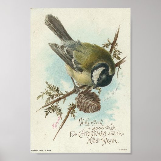 vogel en Pinecone, Kerstmis Poster (Voorkant)