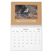 Vogel en uil Fine Art Foto's Ontario Kalender (Jan 2017)