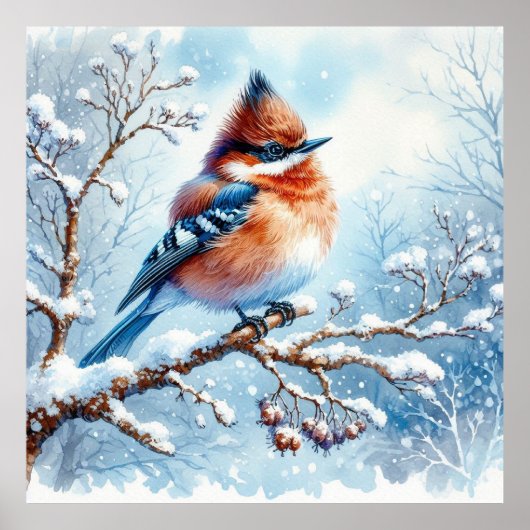 Vogel- en winterlandschap 29 poster (Voorkant)