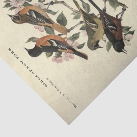 Vogel Ephemera Decoupage Bloemen Tissuepapier (Detail)