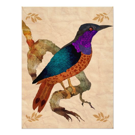 vogel foto afdruk (Voorkant)