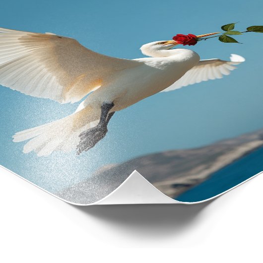 vogel foto afdruk (Hoek)