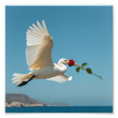 vogel foto afdruk (Voorkant)