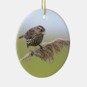 Vogel Foto Ornament (Rechts)