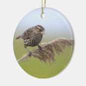 Vogel Foto Ornament (Links)