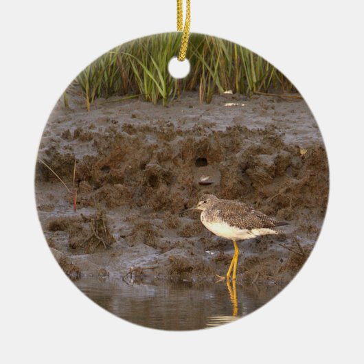 Vogel Foto Ornament (Voorkant)