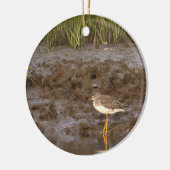 Vogel Foto Ornament (Links)