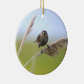 Vogel Foto Ornament (Rechts)