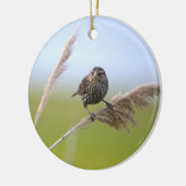 Vogel Foto Ornament (Links)