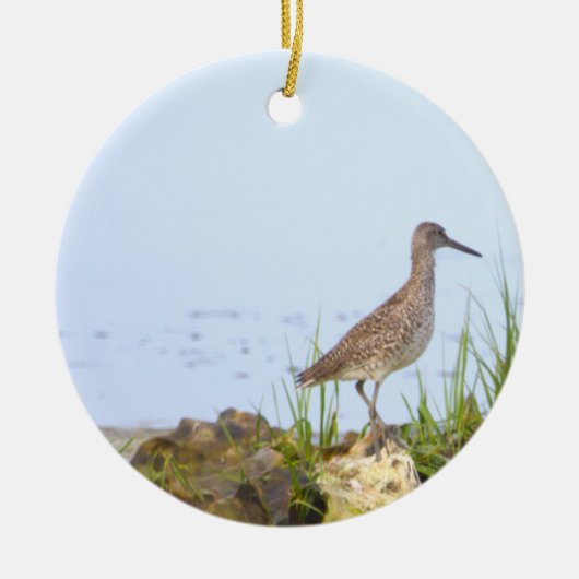 Vogel Foto Ornament (Voorkant)