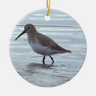 Vogel Foto Ornament