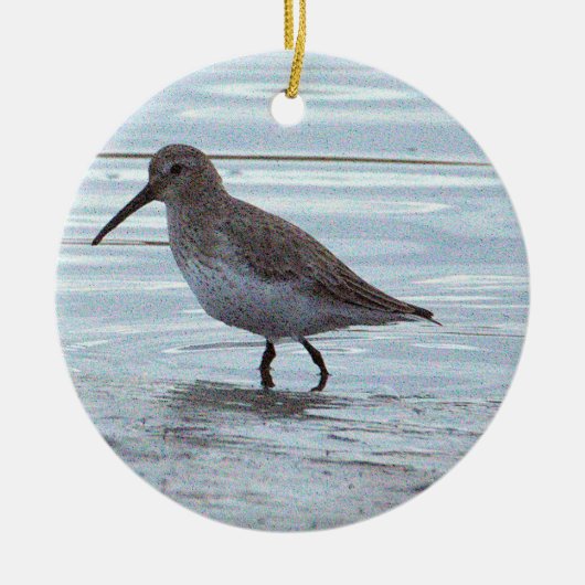 Vogel Foto Ornament (Voorkant)
