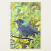 Vogel Foto Planner (Voorkant)