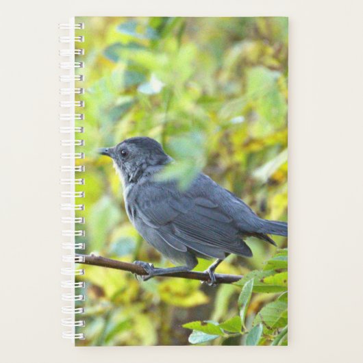 Vogel Foto Planner (Voorkant)
