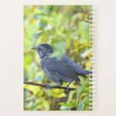 Vogel Foto Planner (Achterkant)