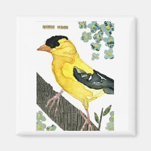 Vogel: Goldfinch Magneet