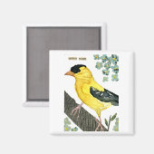 Vogel: goudvink magneet (Voorkant / Achterkant)