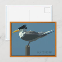 Vogel--Grote Kuifstern ansichtkaart