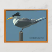Vogel--Grote Kuifstern ansichtkaart Briefkaart (Voorkant)