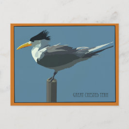 Vogel--Grote Kuifstern ansichtkaart Briefkaart