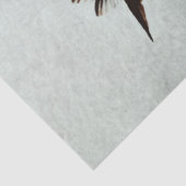 vogel (I) Tissuepapier (Detail)