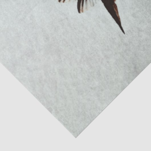 vogel (I) Tissuepapier (Detail)