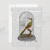Vogel in Bell Jar Briefkaart (Voorkant / Achterkant)