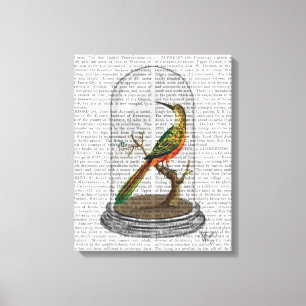 Vogel in Bell Jar Canvas Afdruk