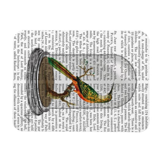 Vogel in Bell Jar Magneet (Horizontaal)