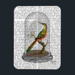 Vogel in Bell Jar Magneet<br><div class="desc">Dieren en Natuur</div>