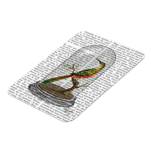 Vogel in Bell Jar Magneet (Linkerzijde)