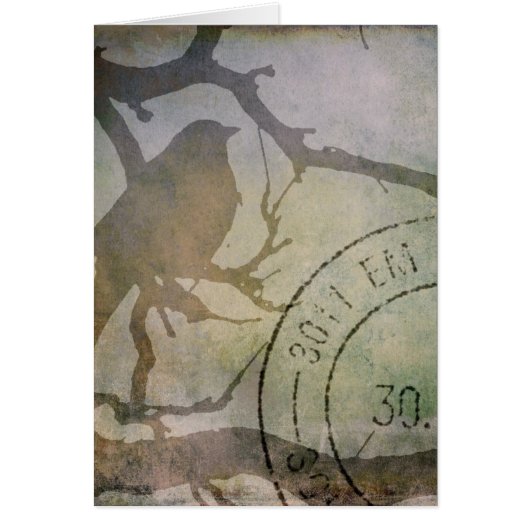 Vogel in bijkantoor 2 (Voorkant)