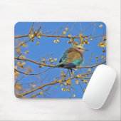 Vogel in Boom en Blauwe Lucht Foto Muismat (Met muis)
