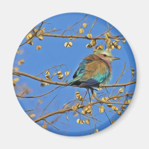 Vogel in Boom Foto Magneet