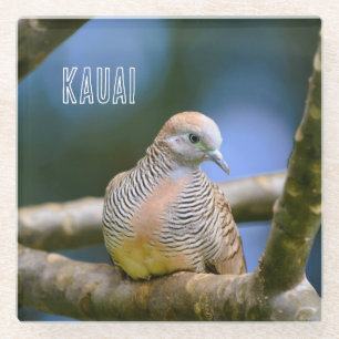 Vogel in Boom Kauai Hawaii Glazen Onderzetter
