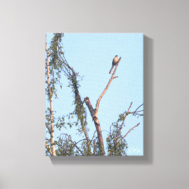 Vogel in Boom Muurkunst Canvas Afdruk
