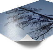 Vogel in boom, Silhouette Print Foto Afdruk (Hoek)