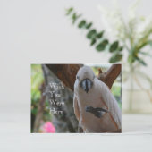 Vogel in de boom Kauai Briefkaart (Staand voorkant)