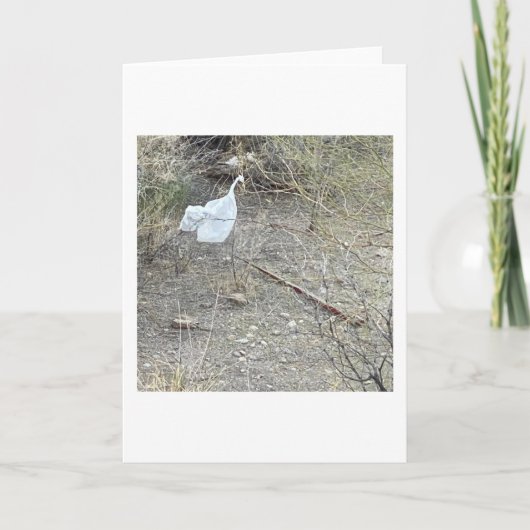 Vogel in de borstel kaart (Voorkant)