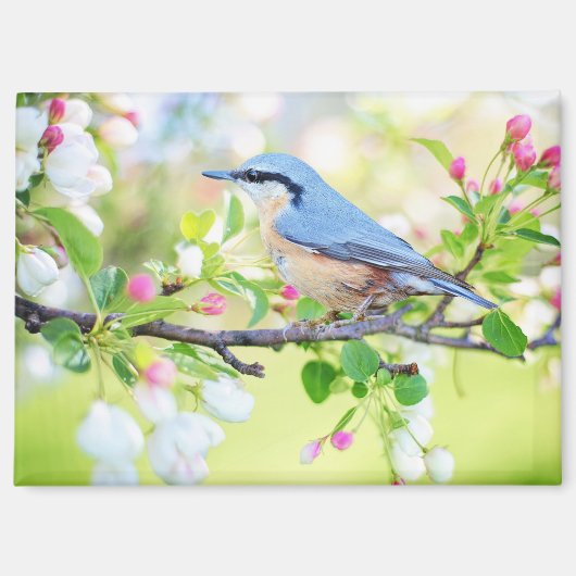 vogel in de lente magneet (Voorkant)