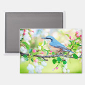 vogel in de lente magneet (Voorkant / Achterkant)