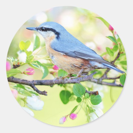 Vogel in de lente stickers (Voorkant)