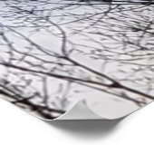 Vogel in de winterboom Poster van de fotoserie (Hoek)