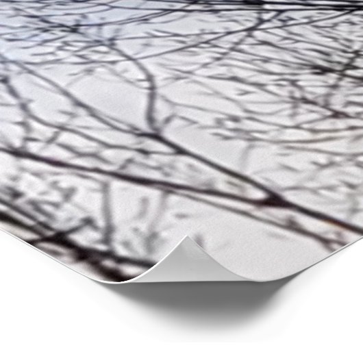 Vogel in de winterboom Poster van de fotoserie (Hoek)