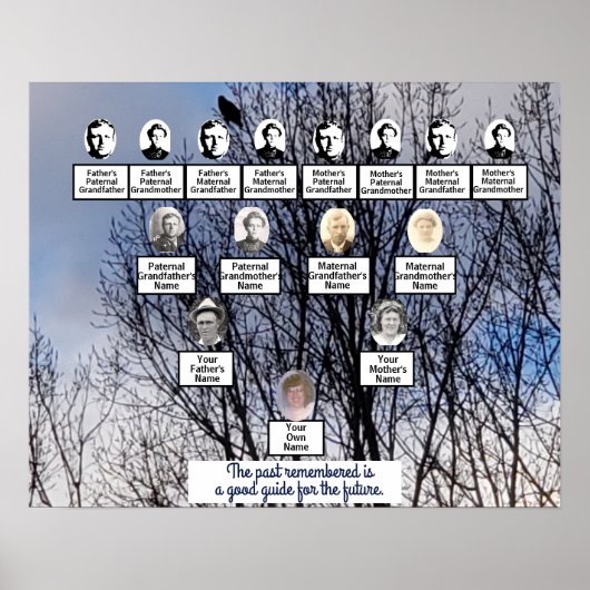 Vogel in de winterboom Poster van de fotoserie (Voorkant)