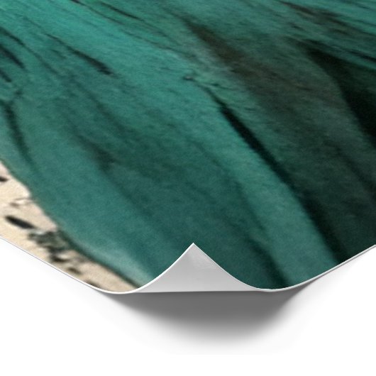 Vogel in een Crown Collage Poster (Hoek)