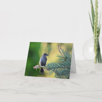 Vogel in een dennenboomblanco notecard. bedankkaart