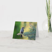 Vogel in een dennenboomblanco notecard. bedankkaart (Voorkant)